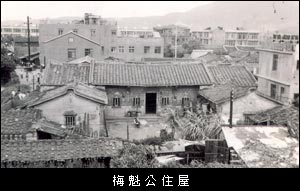 宗族活動